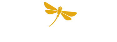 Focus Stress - Transformation et libération du stress femmes actives à Boulogne Paris