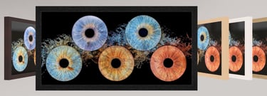 Tableau de cinq iris avec un éclat d'eau et un cadre américain