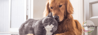 LongyLife integratori per cani e gatti Vitalità Completa PET