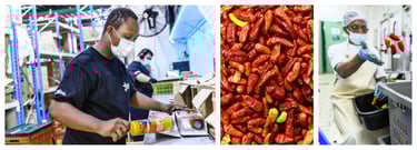 Des ouvriers conditionnent des bouteilles et des piments