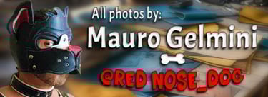 Man in pup mask with photo credits