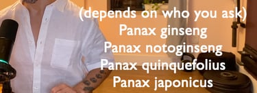 types of ginseng include Panax ginseng, Panax notoginseng, Panax quinquefolius, Panax japonicus