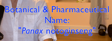 Botanical & Pharmaceutical Name: Panax Notoginseng