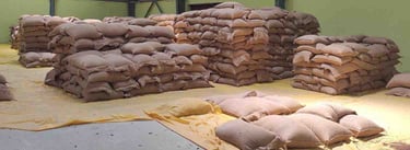 “Bulk packaging of export-grade maize in large PP or jute bags”