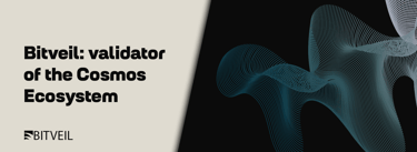 bitveil-validator-cosmos-ecosystem