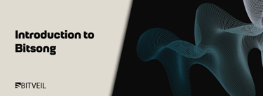 introduction to Bitsong