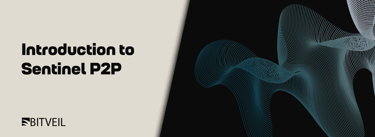 Introduction to Sentinel P2P