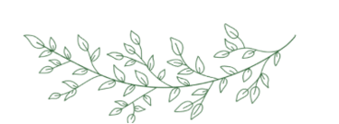 a branch of a plant with leaves on it