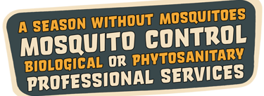 Professional Mosquito Control Services Cannes