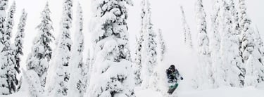 a person on a skis in the snow forest