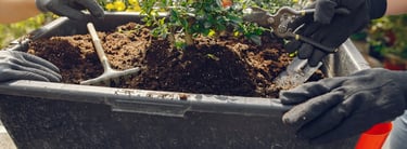 coaching en jardinage