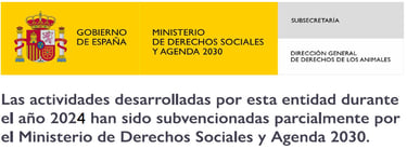 banner subvención ministerio DSA2030