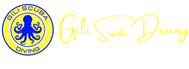 Logo for Gili Scuba Diving, the ideal place to try scuba diving and explore the world's oceans from Gili Trawangan.
