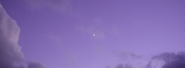 purple sky with a moon in the background