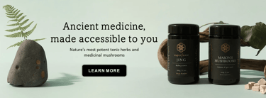 introduction to medicinal mushrooms