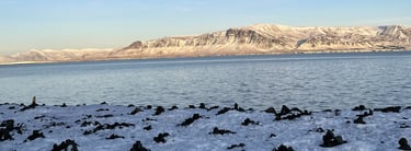 Islande - Baie Reykjavik