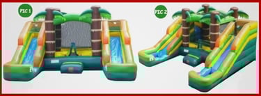 TROPICAL DOUBLE SLIDE COMBO WET OR DRY. Bookings 832-216-8423