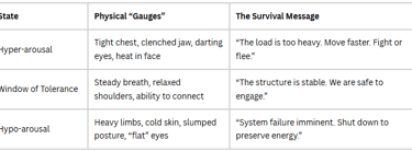 A clinical table mapping the Window of Tolerance for structural stability in mental health.