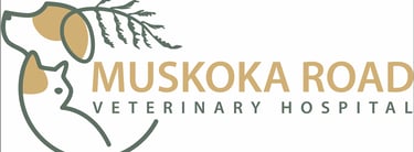Link to Muskoka Road Veterinary Hospital
