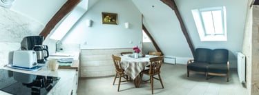 Panorama d'un salon - cuisine ensoleillé tout équipé