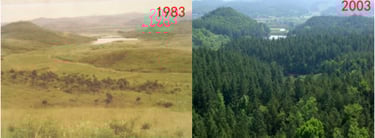comparison of land