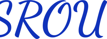 Official blue cursive logo for Bousrour.ma website design and digital services in Morocco.