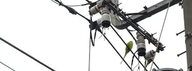 Introduce the reality of today’s fast-paced world—technological acceleration