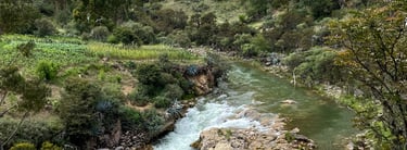 Innovación en Turismo Rural