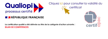 accompagnement reconversion Haute-Savoie. bilan de compétences en ligne visio. reconversion pro