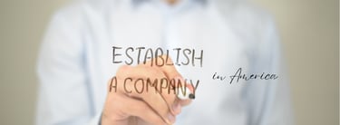 Amerika'da şirket kuruluşu