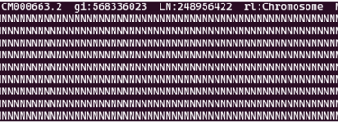 Reference genome first hundred bases shell output