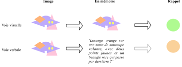 shéma du fonctionnement de la mémoire de travail visuelle et verbale avec précision visuelle