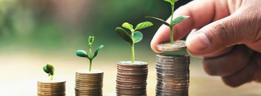 Mutual Fund