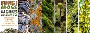 A poster for the Fungi, Moss etc exhibition showing many types of fungi and bryophyte.