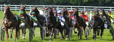 Course hippique trot attelé 