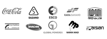 Portfolio of select companies Diana Rain collaborated with during her creative career