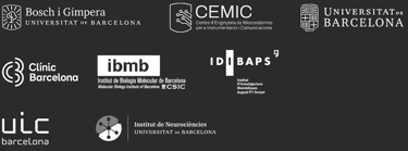 ZeNeuroid, iPSC in vitro 3D brain models for preclinical neuroscience research