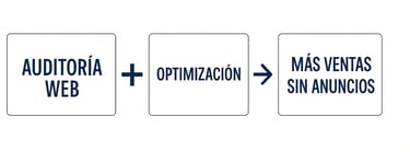 Generar ventas sin anuncios con SEOLUTION