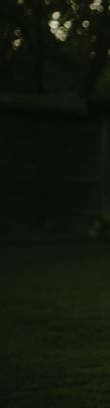 labai tamsios žalios spalvos fonas