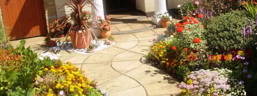 Curvey winding path, circle kits paving slabs weaving through lots of beautiful plants & flowers