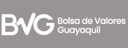 Estratega de inteligencia artificial en Ecuador