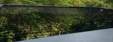 Catamaran fotografia en otro plano