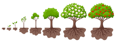 évolution changement arbre de la renaissance vers l'arbre fruitier