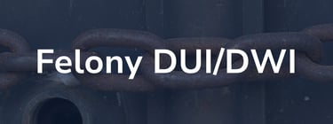 Click this link to access your drug Felony DWI evaluation form.