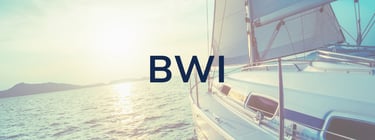 Click this link to access your BWI evaluation form.