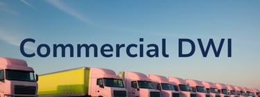 Click this link to access your CDL DWI evaluation form.