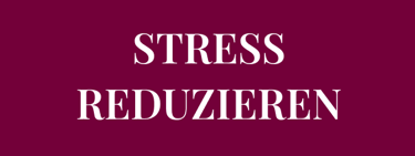 Möchtest du Strategien für STRESS REDUZIEREN entwickeln und mehr im Moment leben?