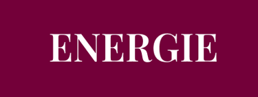 Möchtest du mehr ENERGIE haben und dich weniger erschöpft fühlen?