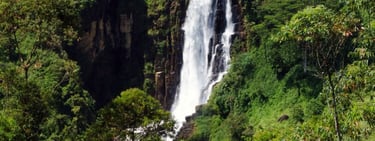 Devon Falls