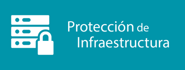 Protección de Infraestructura